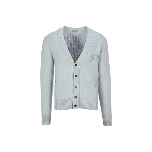 DIOR Светло-синие Мужские Свитера