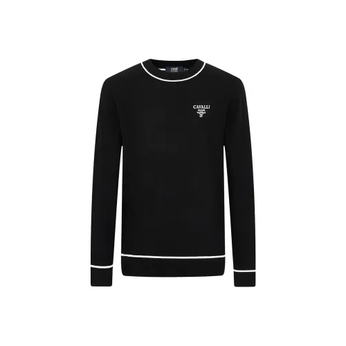 Cavalli Class Кашемировый свитер мужской