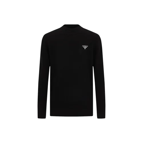Cavalli Class Кашемировый свитер мужской