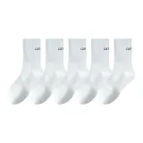 5 пар (5 белых)