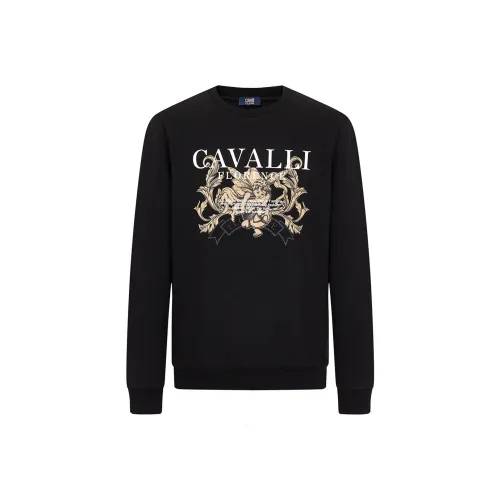 Cavalli Class Мужские Свитшоты