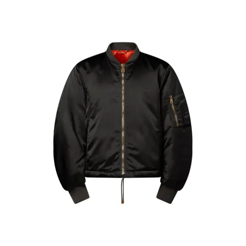 LOUIS VUITTON FW25 Хлопковый пуховик Мужской