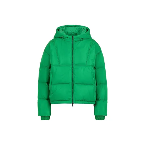 Цвет айсберга FW25 Пуховая куртка Женская