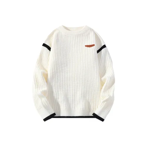 HALEBOSS Мужские Свитера