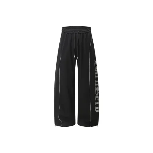 51XXHA Унисекс Повседневные Брюки