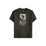 Дымчато-серый