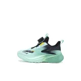 Чёрный, ледяной зелёный [весенний, осенний, двойная сеть]