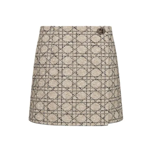 DIOR FW25 Повседневные шорты Женские