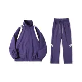 Сливовый фиолетовый