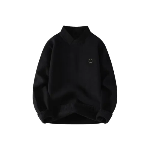 BAISHENGHU Мужской Трикотаж