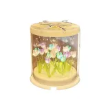 Торт Box Sea of Colors - Multicolor