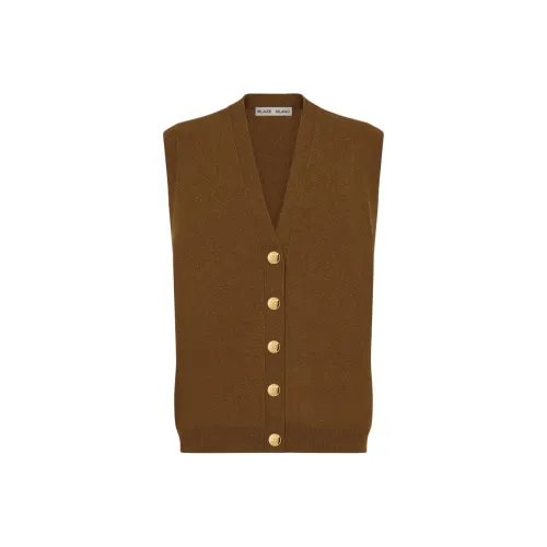 Blazé Milano Коричневый Женский жилет