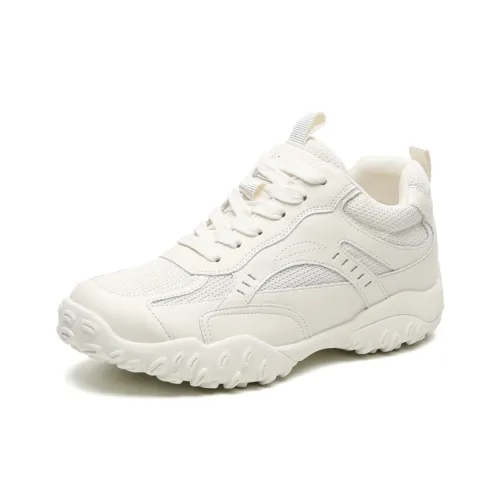 DAPHNE Дышащий Низкий Топ Casual Женские