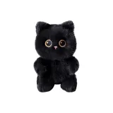 Маленький черный кот