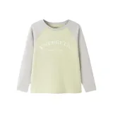 Зелёный Тон 00344