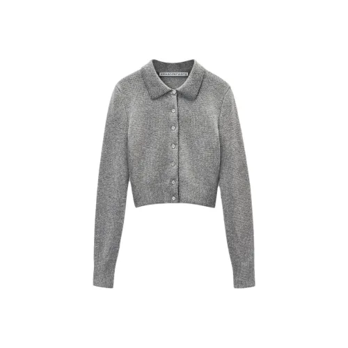 Alexander Wang FW25 Трикотаж Женский