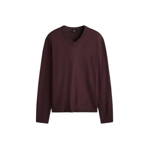 H M Темно-сливовый Мужской Свитеры