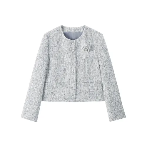 LEDIN Silver Candle Gray In Stock Women's Short Coat LEDIN Серебряный Свеча Серый В наличии Женское Короткое Пальто