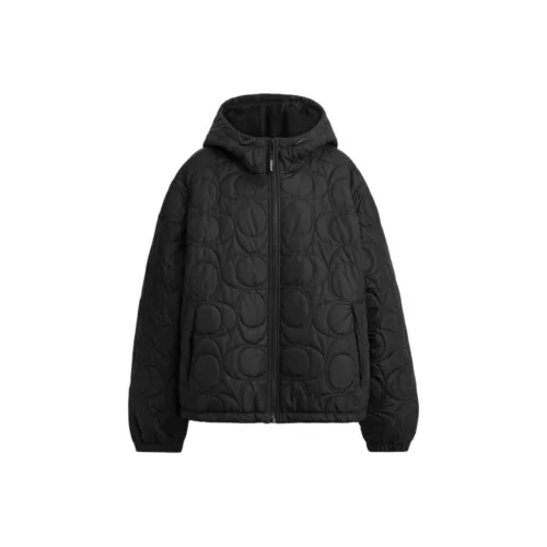 COACH Черный мужской пуховик