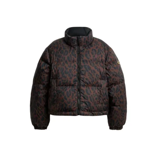 COACH Черный Женский Пуховик