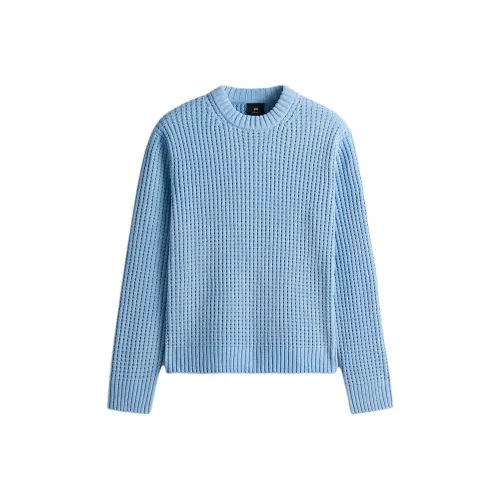 H M Светло-синие Мужские Свитера