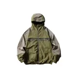 Мох зеленый