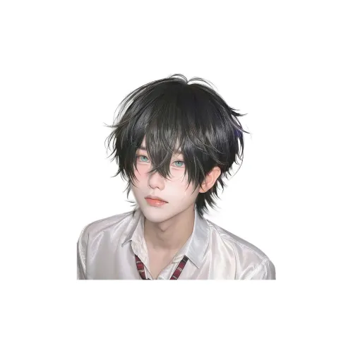 Northward Incline Парики