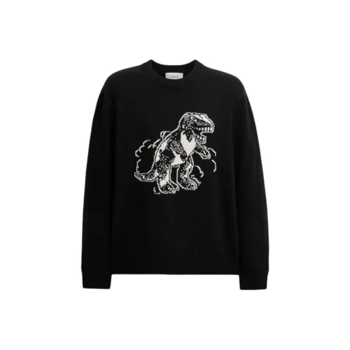 COACH Мужские черные свитеры
