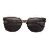 C3 Прозрачная серая оправа с серыми линзами