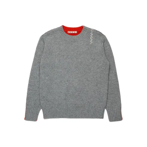 MARNI Серый Kids Свитера