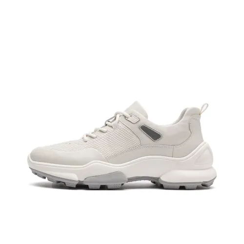 AQUASCUTUM Повседневный Низкий Топ Мужской