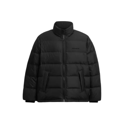 COACH Черный Мужской Пуховик