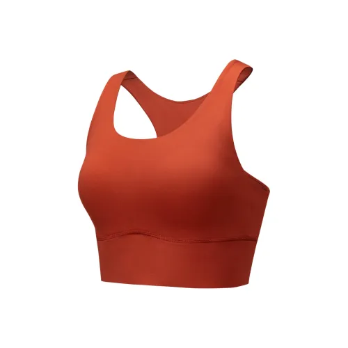 ANTA Dense Rust Красный 4 Женское Спортивное Нижнее Белье