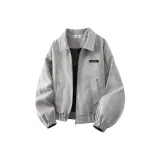 Лунный серый