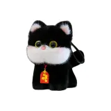 Чёрный Белый Кошка