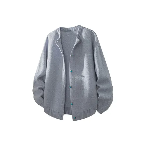 GOOSELIAR Унисекс Свитера