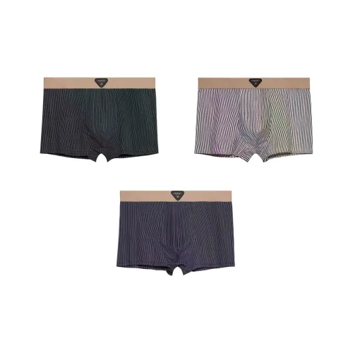 FOCOS STUDIO Боксер-брюки Мужской