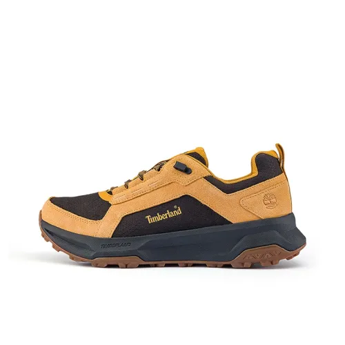 Timberland MOTION LEDGE Альпинизм Походная обувь Мужская