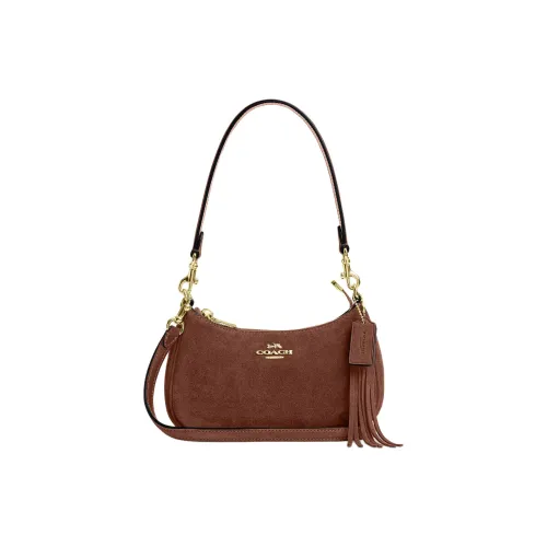 COACH Teri Коровья кожа Сумка через плечо Мини Женская Винтажный коричневый