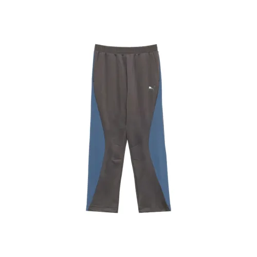 PUMA Платье с хвостом Темно-серый Мужские спортивные брюки