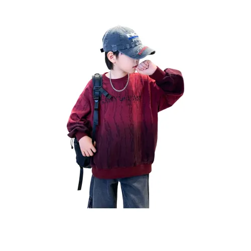 Lanza Повседневный свитшот Весенний Осенний