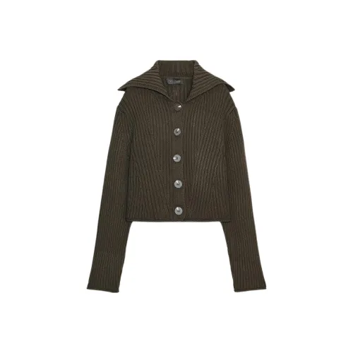 ZARA Темный хаки Женский трикотаж