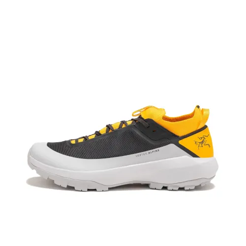 Arcteryx Vertex Alpine Альпинистские и туристические ботинки Низкий верх Серый Оранжевый Цвет Мужской