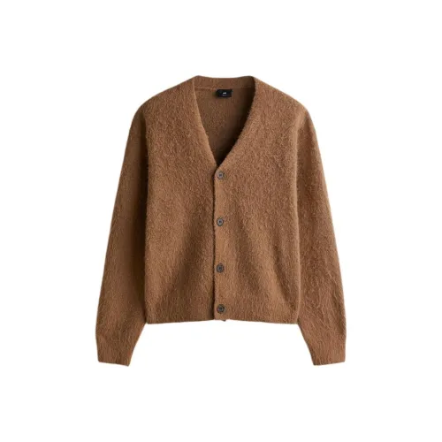 H M Темный Бежевый Мужской Трикотаж