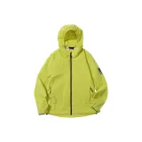 Форсития Желтый/M0053