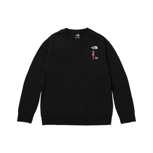 THE NORTH FACE FW25 Толстовка Унисекс