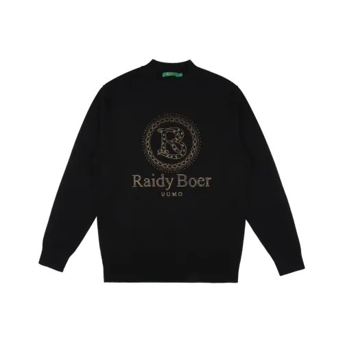 Raidy Boer Мужские Свитера