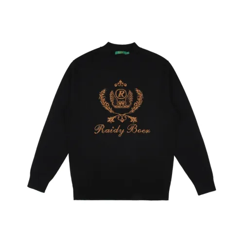 Raidy Boer Мужские Свитера