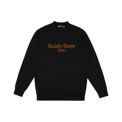 Raidy Boer 2025 AUTUMN Свитер Мужской