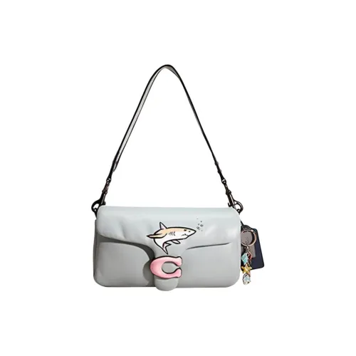 COACH Pillow Напп Кожа Гладкая Кожа Сумка через плечо Сумка на плечо Женская Аква Синий